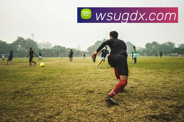 辅助工具 辅助工具